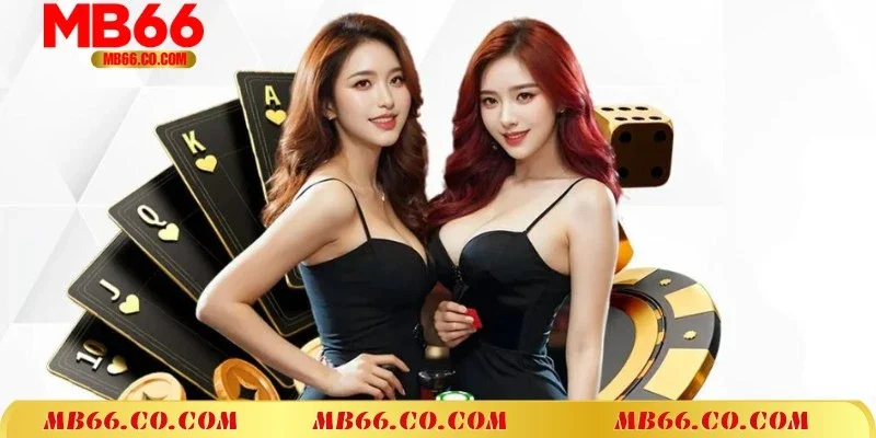 Ưu điểm nổi trội và thu hút của sảnh DG Live Casino