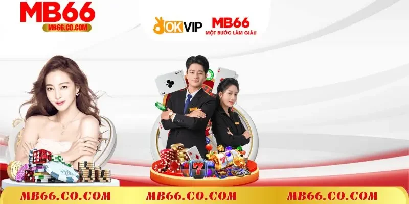 Lịch sử hoạt động và phát triển của MB66